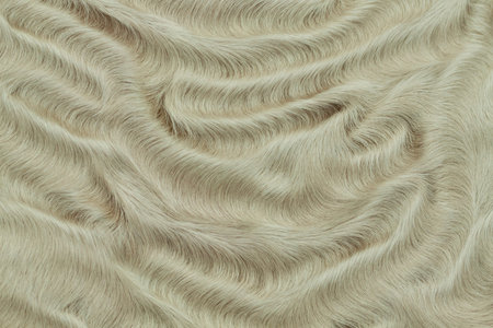 sample of fur of sheep
