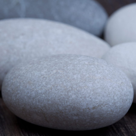 several pellets on a wooden surface