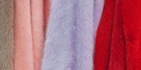 sample of fur of arctic foxの写真素材