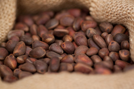 cedar nuts in a bag in the shop window or in the warehouse