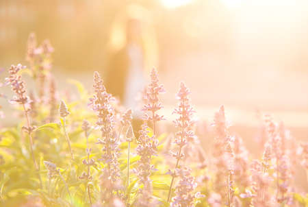 flowerbed with blooming flowers on a background of blurred silhouettes of people walking in a sunny city parkの写真素材