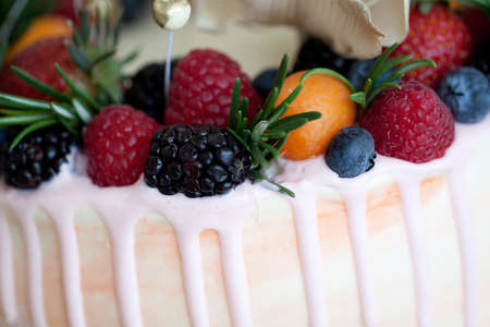 beautiful and appetizing festive biscuit cake decorated with fresh berriesの写真素材