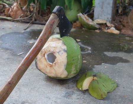 coconut and axe peeling coconuts by an axe.の写真素材
