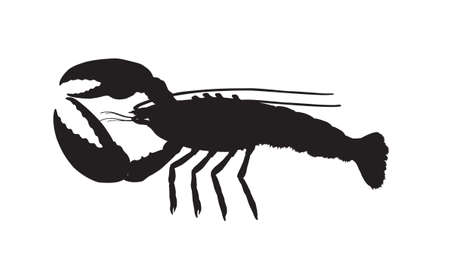 silhouette of animal on a white background.の写真素材