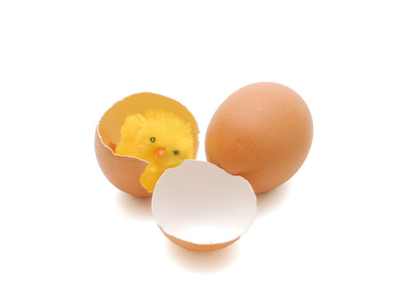 Toy chicken in egg on a white background