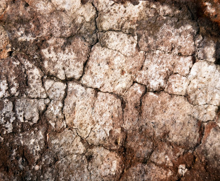 Old wall with cracks