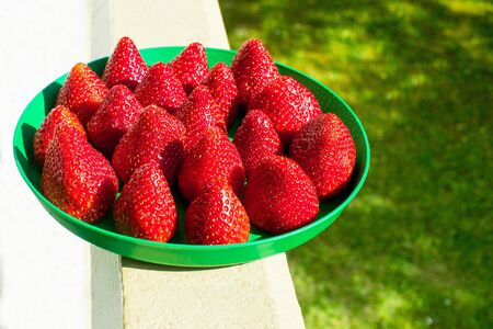 summer strawberries on nature lies on a green plateの写真素材