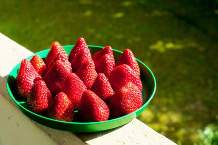summer strawberries on nature lies on a green plateの写真素材