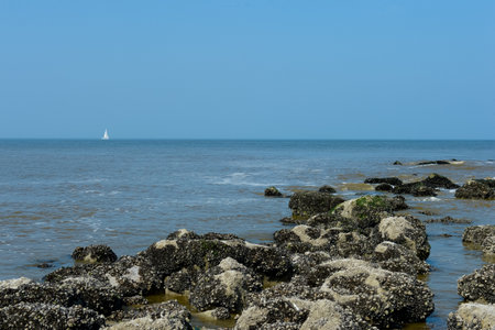 Coastline with rocks and a sailboat in the distance.の写真素材