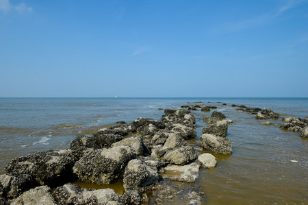 Rocky beach and blue sky at low tide in the Gulf of Thailandの写真素材