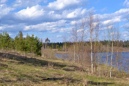 landscape with forest lake in early springの写真素材