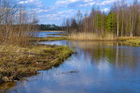 Lake of the Woods in the spring at sunsetの写真素材