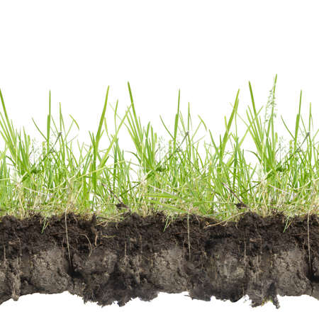 green grass with earth crosscut isolated on whiteの写真素材