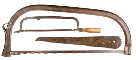 old saws on a tree isolated on white