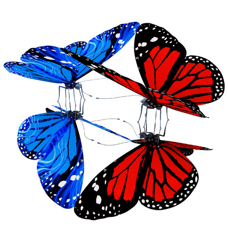Butterflies on a white backgroundの写真素材