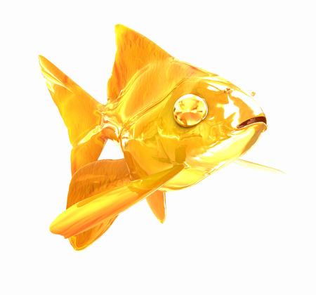 Gold fish. Isolation on a white backgroundの写真素材