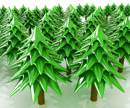 Christmas trees on a white background の写真素材
