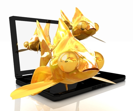 Gold fishea and laptop on a white backgroundの写真素材