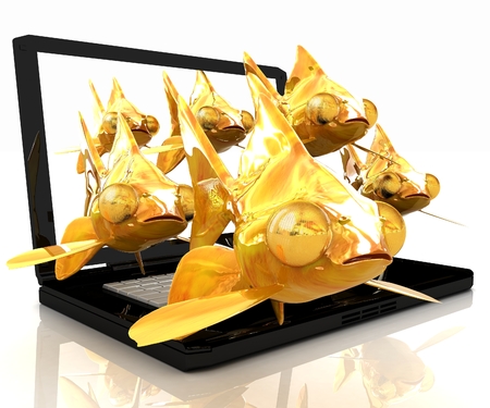 Gold fishea and laptop on a white backgroundの写真素材