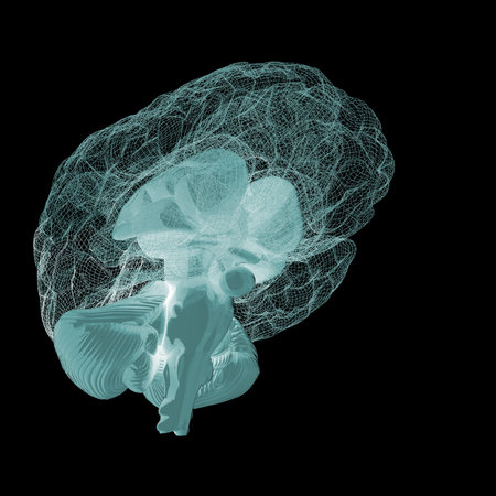 Creative concept of the human brain