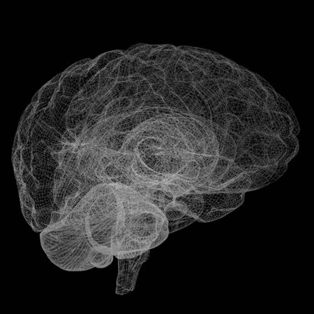 Creative concept of the human brainの写真素材