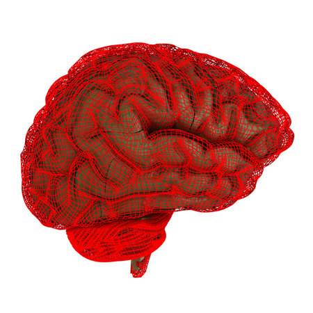 Creative concept of the human brain