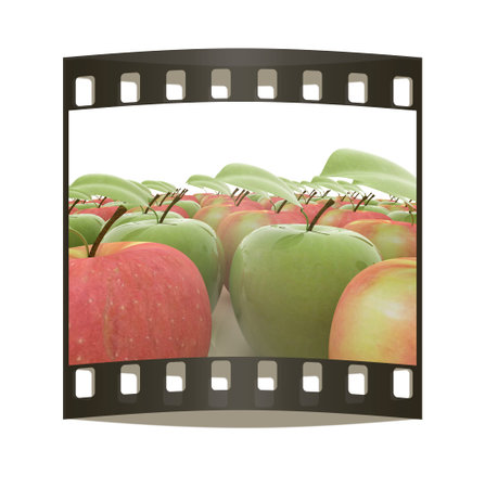 apples on a white background. The film stripの写真素材