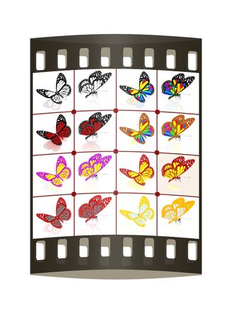 Butterflies botany set. The film stripの写真素材