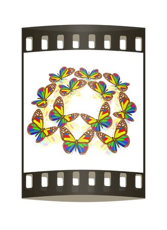 beauty butterflies. The film stripの写真素材