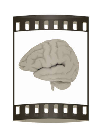 Human brain. The film stripの写真素材