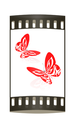 beauty butterflies. The film stripの写真素材