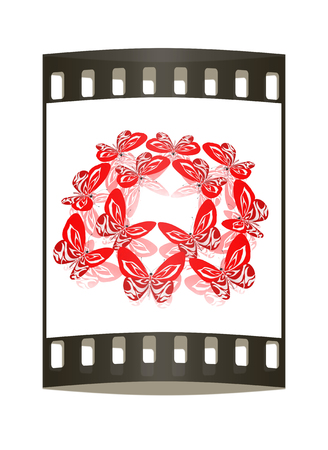 beauty butterflies. The film stripの写真素材