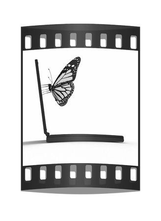 butterfly on a notebook. The film stripの写真素材