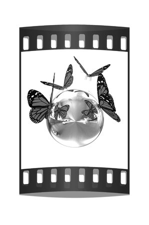 Red butterfly on a chrome reflective sphere on a white background. The film stripの写真素材