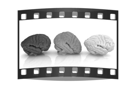 Human brains. The film stripの写真素材