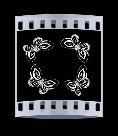 butterflies isolated on black background. The film stripの写真素材