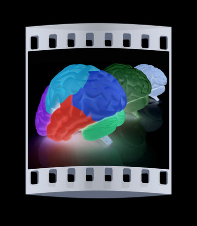 Human brains. The film strip