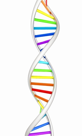 DNA structure model on whiteの写真素材