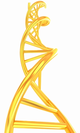 DNA structure model on whiteの写真素材