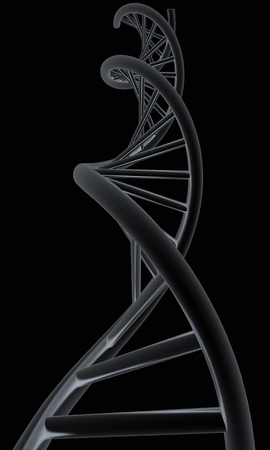 DNA structure modelの写真素材