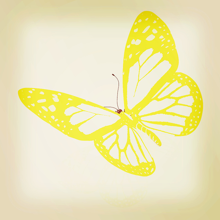 beauty butterfly. 3D illustration. Vintage style.の写真素材