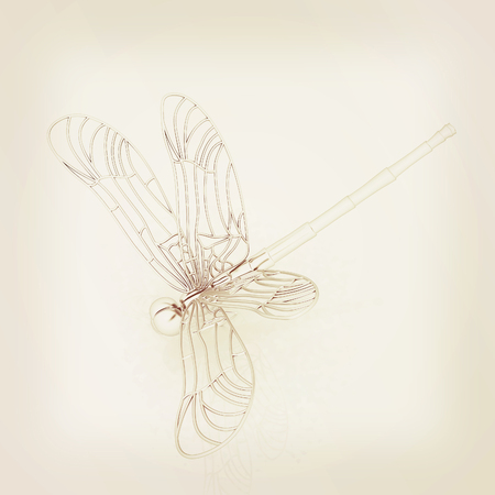 Dragonfly. 3D illustration. Vintage style.の写真素材