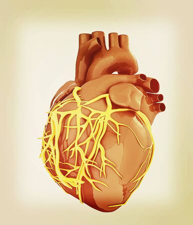 Human heart. 3D illustration. Vintage style.の写真素材