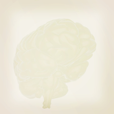 3D illustration of human brainの写真素材