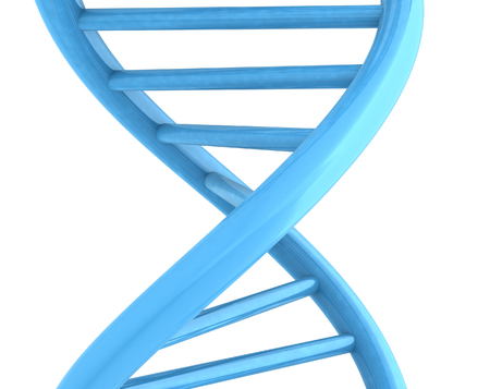 DNA structure model on white. 3D illustrationの写真素材