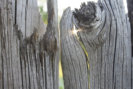 Old wooden fence and a ray of sun in a crack. Close-up with abstract blurred background behindの写真素材