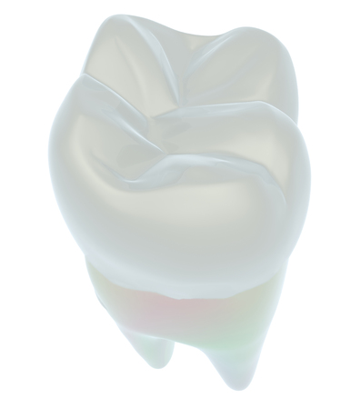 Tooth. 3d illustrationの写真素材