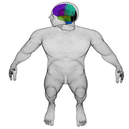 Wire human model with brain. 3d render
