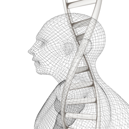 3D medical background with DNA strands and human. 3d renderの写真素材
