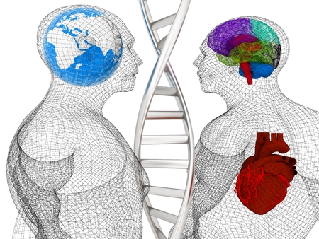 3D medical background with DNA strands and wire human body model with heart and brain in x-ray. Global medical concept with Earth. 3d renderの写真素材